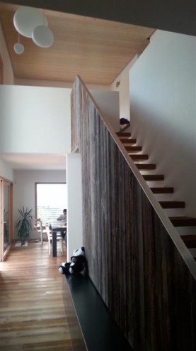 20130925_145950 (Large)